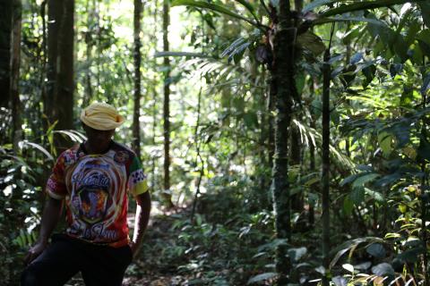 Man standing among jungle trees in Amazon