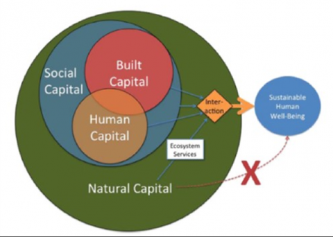 Sustainable human well being is a product of built, human, and social capital, as well as natural capital.
