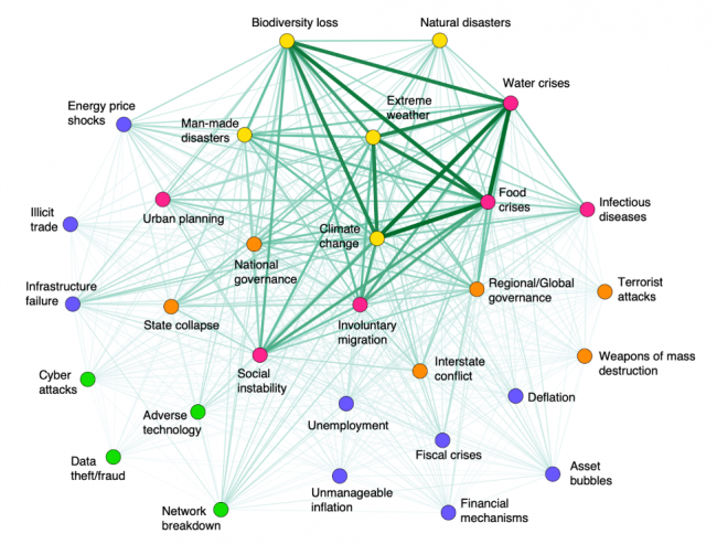 Graphic showing the network of potentially synergistic risks with the potential to lead to a global systemic crisis
